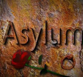 Refugee: In a topsy-turvy world of a refugee, a kind word is never wasted