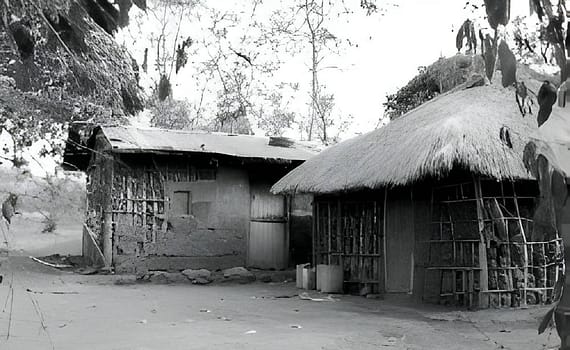 Pity Uganda: Sixty-one Lost Years After Independence