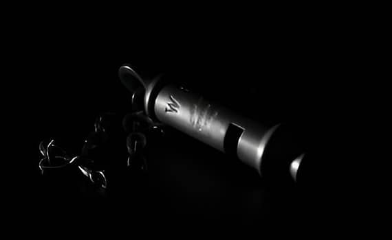Exposing Your Blind Spots: The Argument For Fostering Whistleblower Voices To Become A Successful Leader